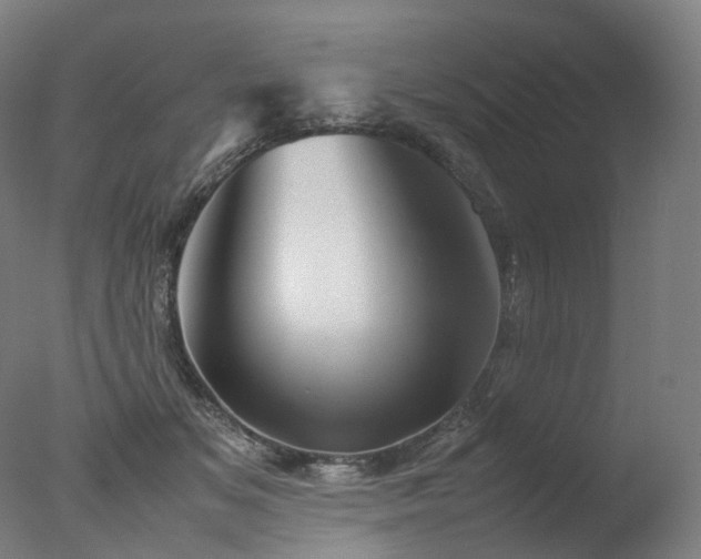 X0000077360509200610201326