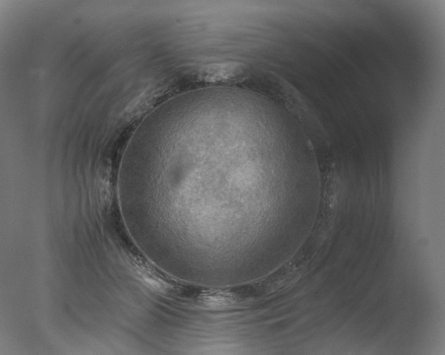 X0000077360510200610201326