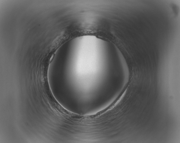 X0000077360512200610201326