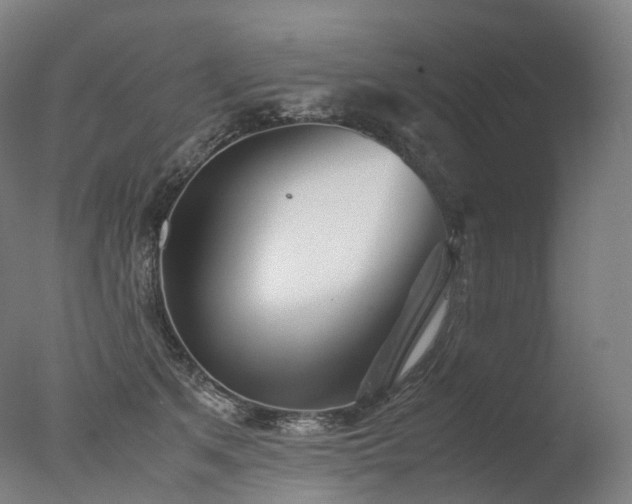 X0000077360513200610201326