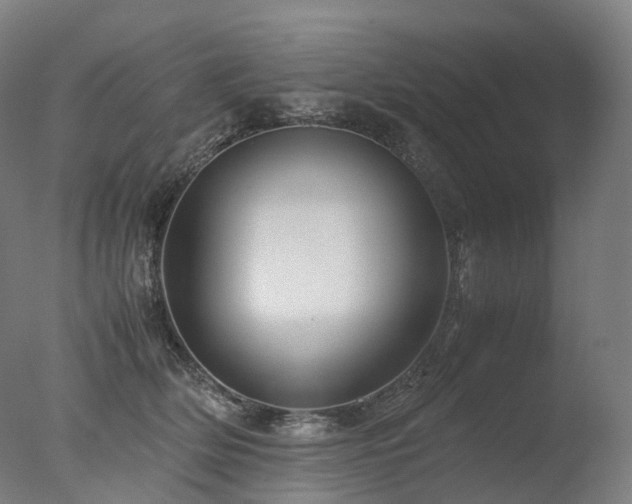 X0000077360514200610201326