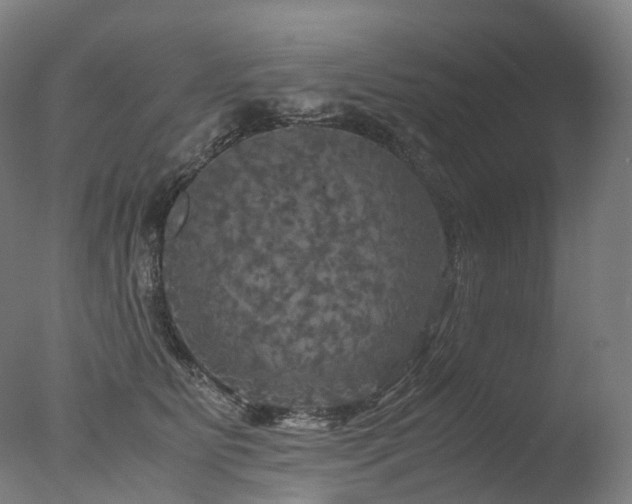 X0000077360515200610201326