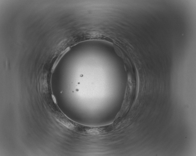 X0000077360516200610201326