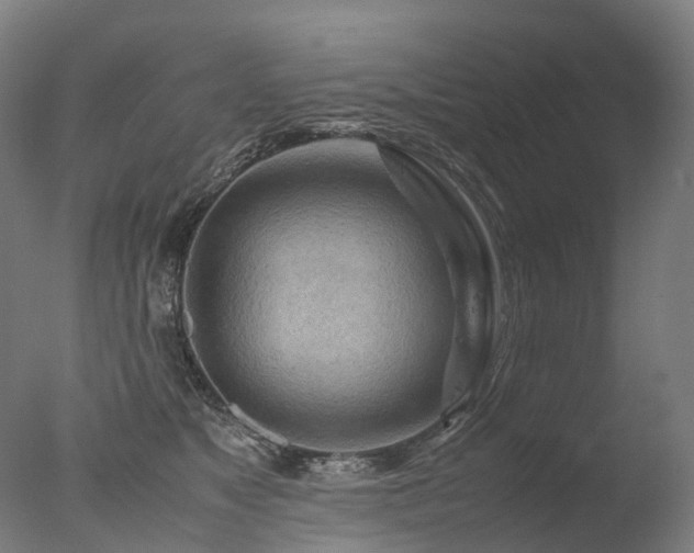 X0000077360517200610201326