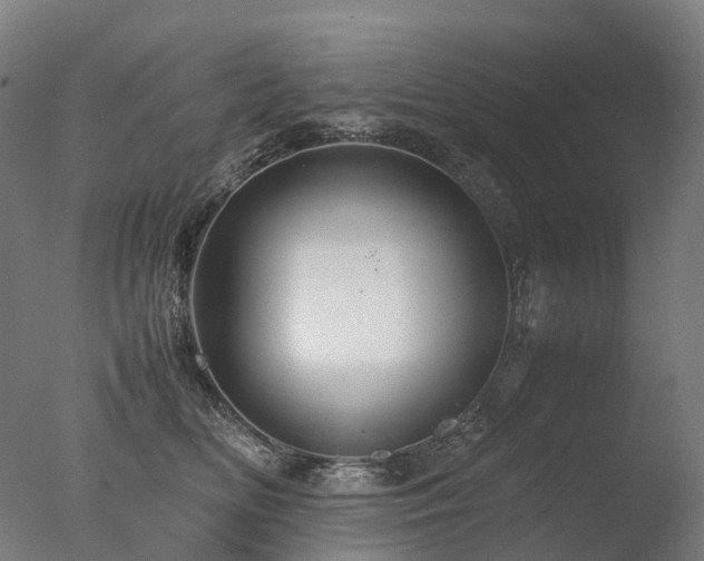 X0000077360518200610201326