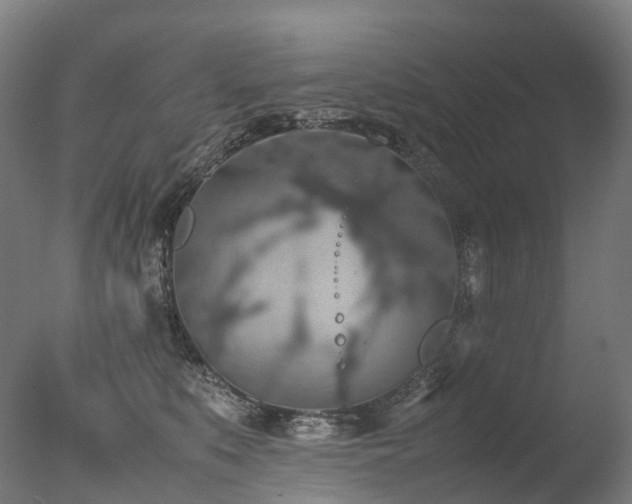 X0000077360519200610201326