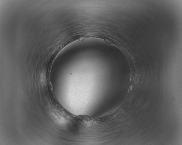 X0000077360520200610201326