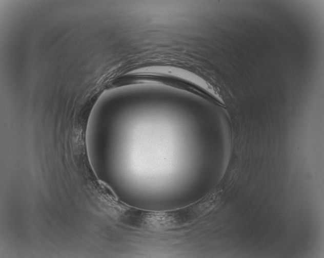 X0000077360521200610201326