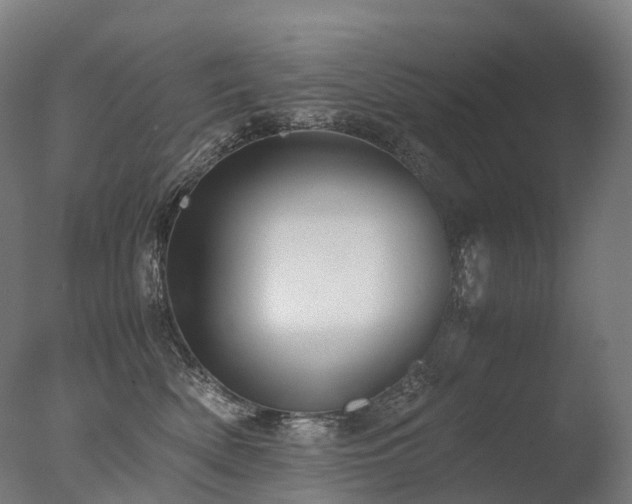 X0000077360522200610201326