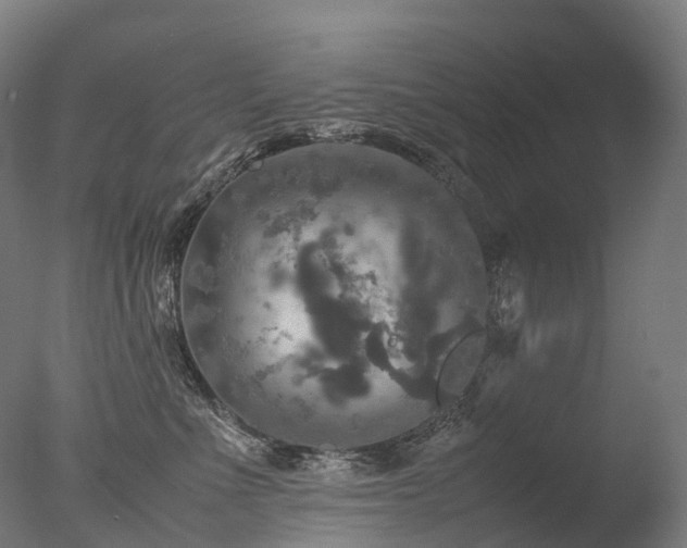 X0000077360523200610201326