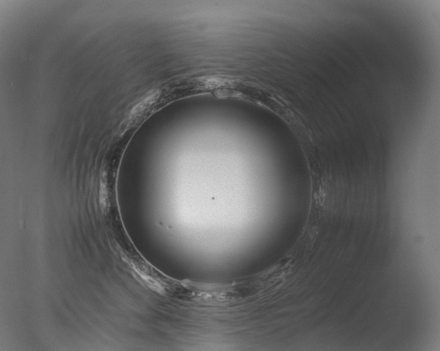 X0000077360524200610201326