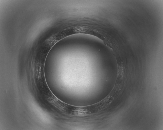 X0000077360525200610201326