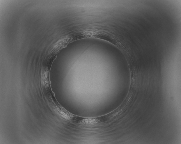 X0000077360526200610201326