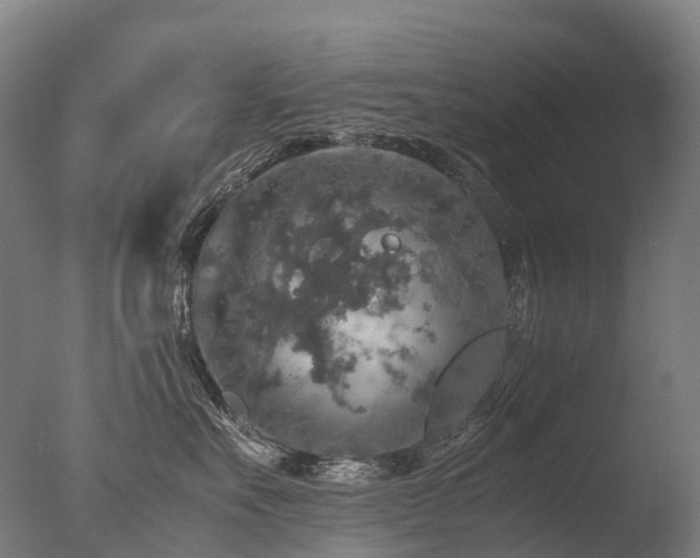 X0000077360527200610201326