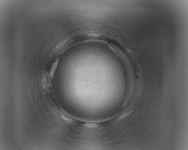 X0000077360528200610201326