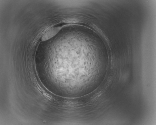 X0000077360529200610201325