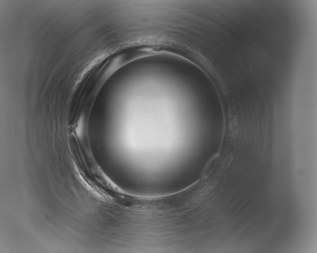 X0000077360530200610201325