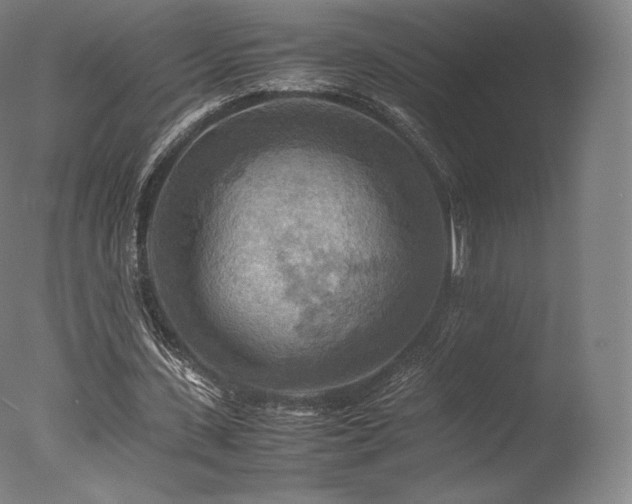 X0000077360531200610201325