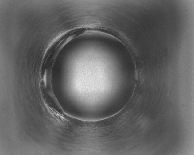 X0000077360532200610201325