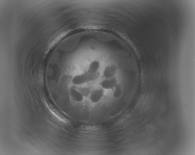 X0000077360533200610201325