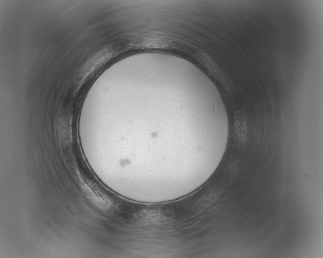 X0000077360534200610201325