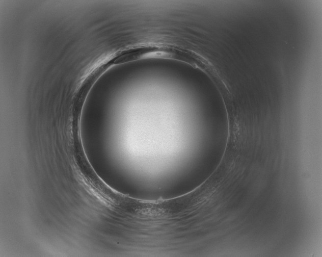 X0000077360535200610201325