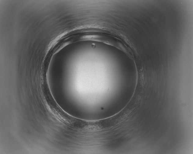 X0000077360536200610201325