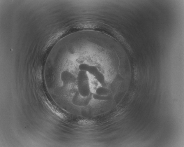 X0000077360537200610201325