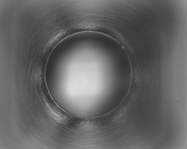 X0000077360538200610201325