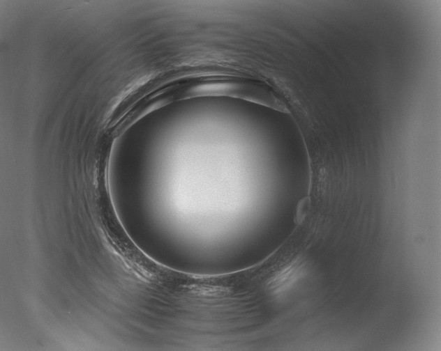 X0000077360539200610201325