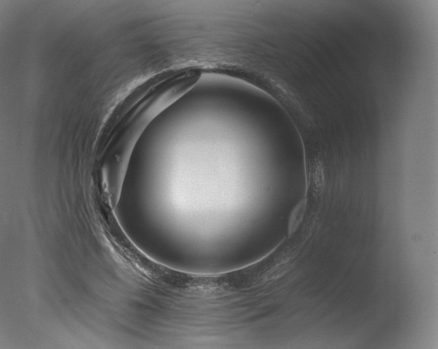 X0000077360540200610201325