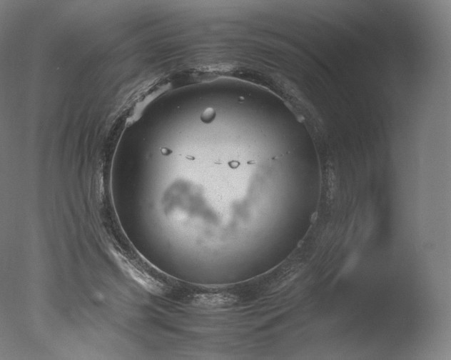 X0000077360541200610201325