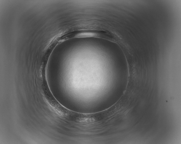 X0000077360543200610201325