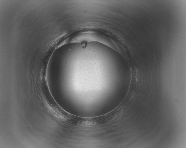 X0000077360546200610201325