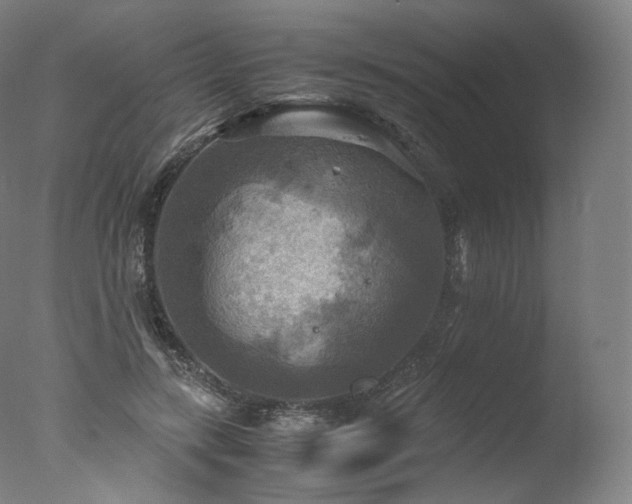 X0000077360547200610201325