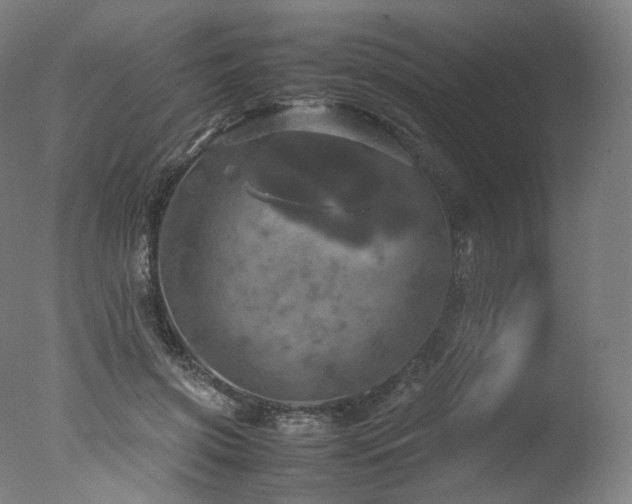 X0000077360549200610201325