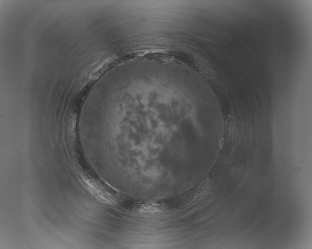 X0000077360550200610201325