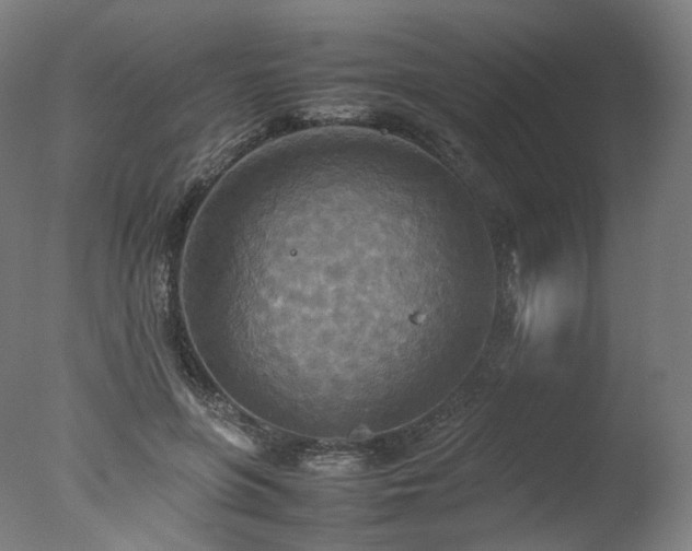 X0000077360551200610201325