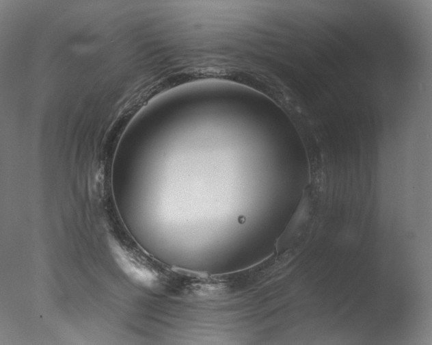 X0000077360552200610201325