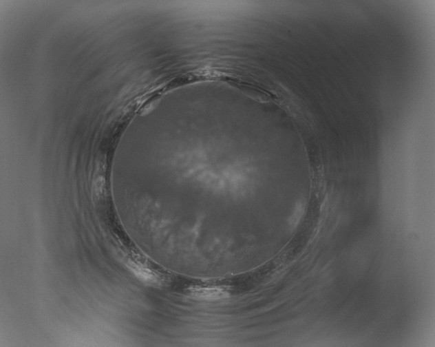 X0000077360553200610201325