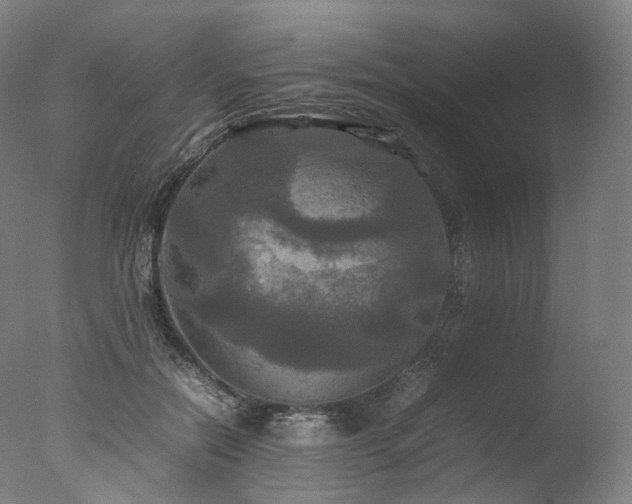 X0000077360554200610201325