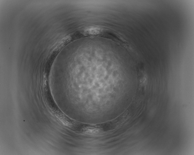 X0000077360555200610201325