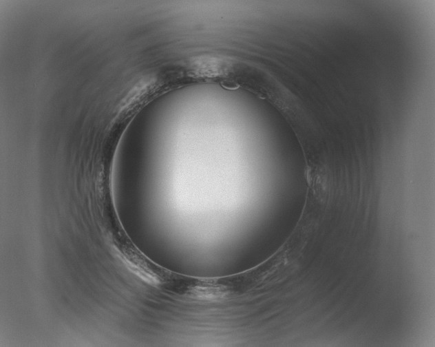 X0000077360556200610201325