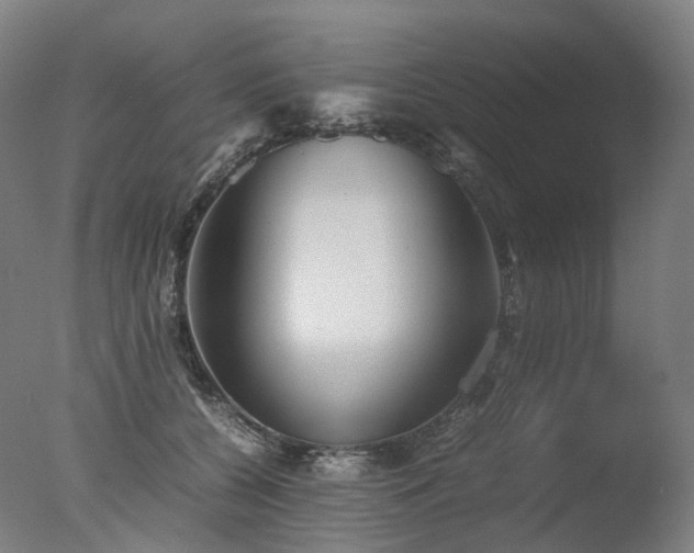 X0000077360560200610201325