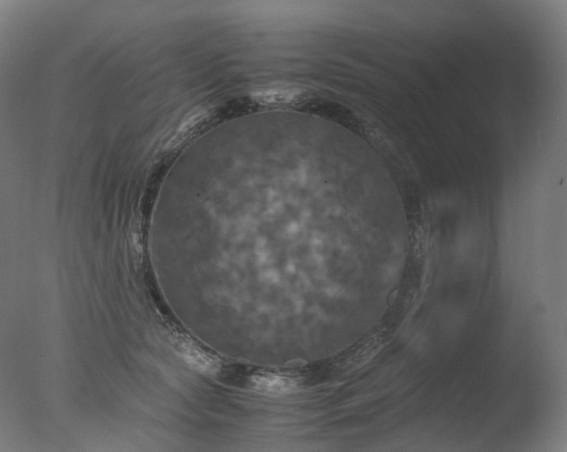 X0000077360561200610201325