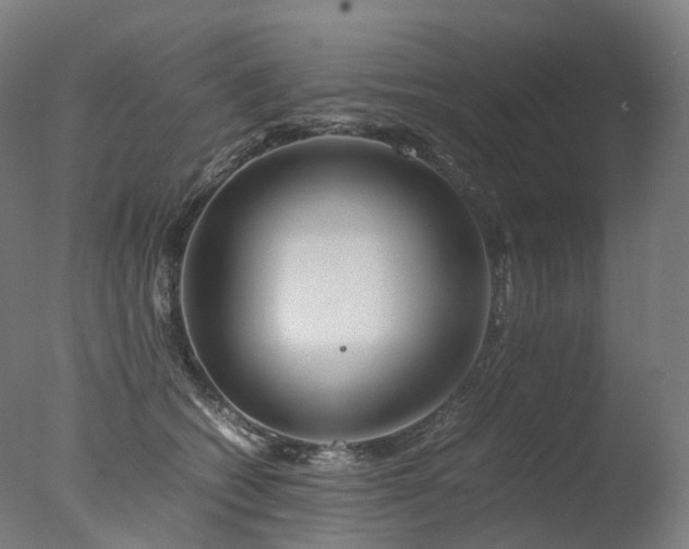 X0000077360562200610201325