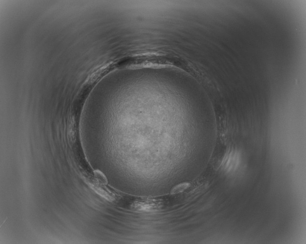 X0000077360563200610201325