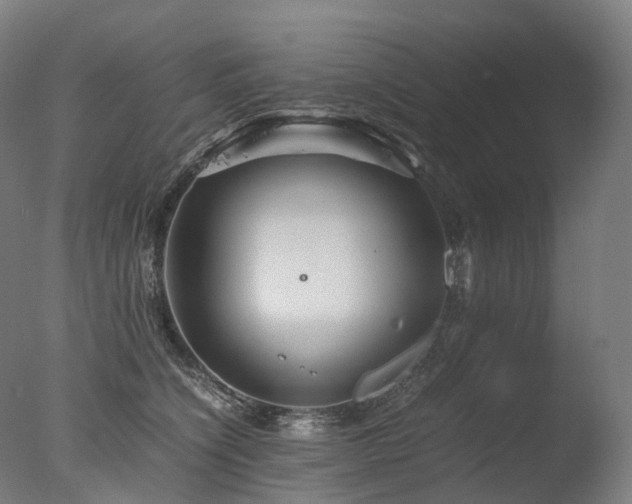 X0000077360564200610201325