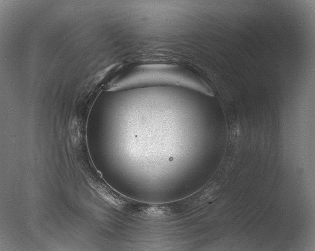 X0000077360566200610201325