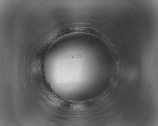 X0000077360567200610201325